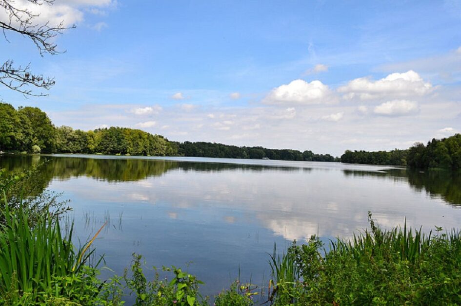 The most beautiful lakes around Zielona Góra part 1