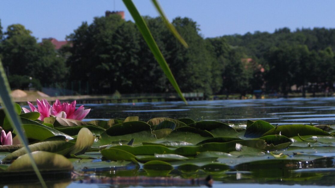 The most beautiful lakes around Zielona Góra part 2