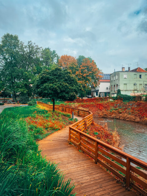 Unterkunft – Zielona Góra erfreut sich im Herbst